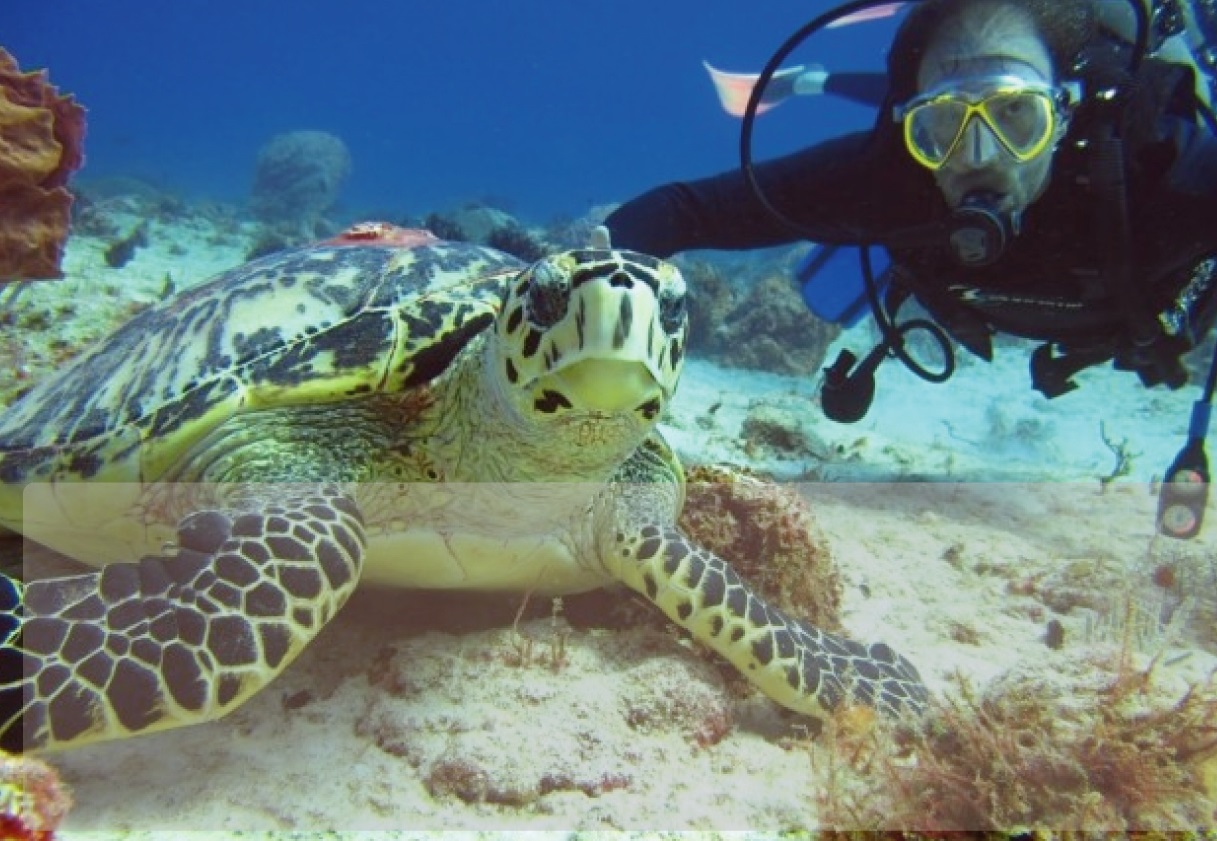 Bautizo de Buceo 2 días